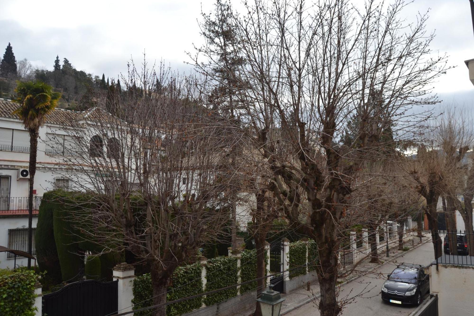 Carmen Del Cadi Lejlighed Granada Eksteriør billede